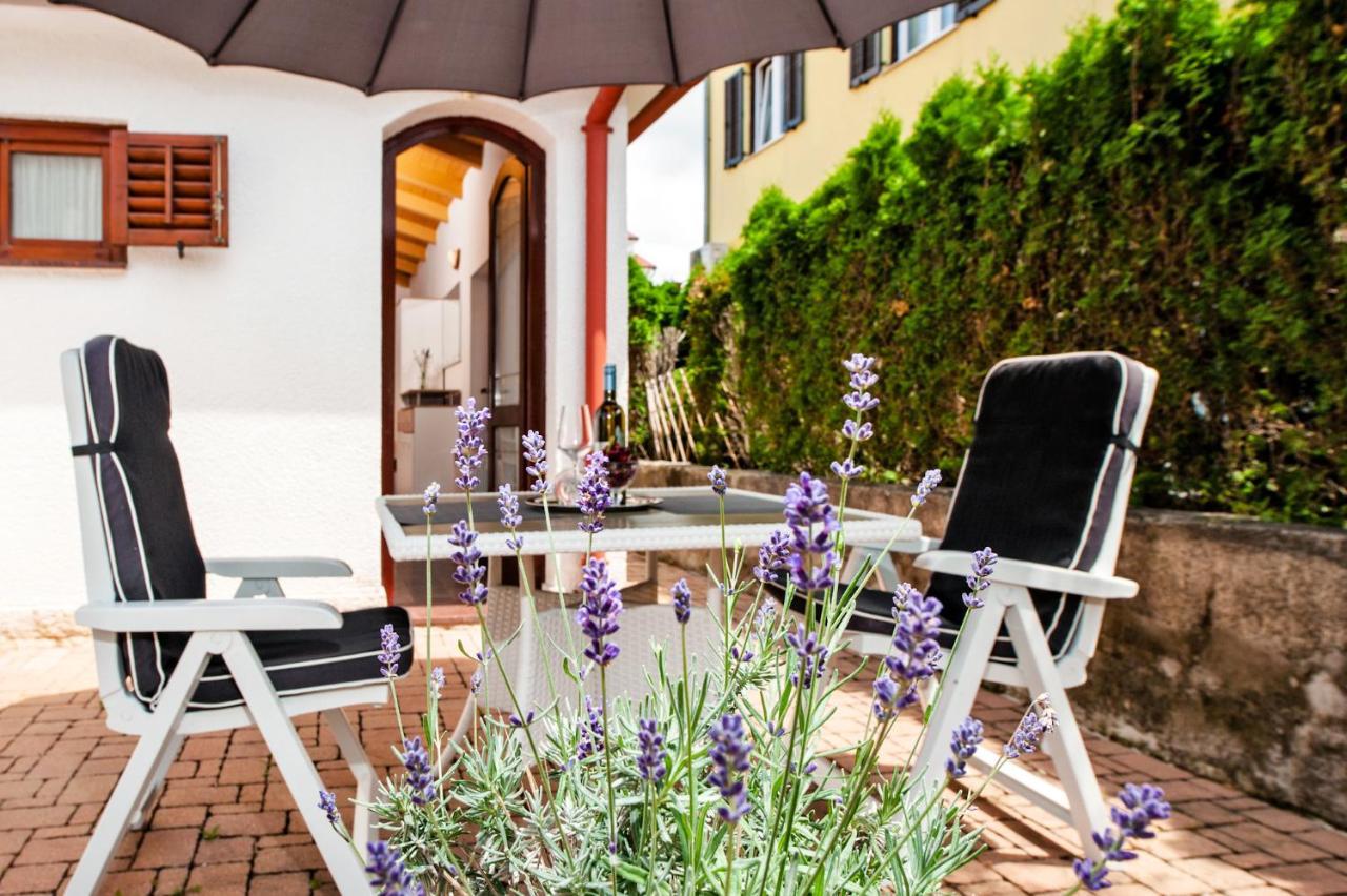 Carmelo Apartament *
