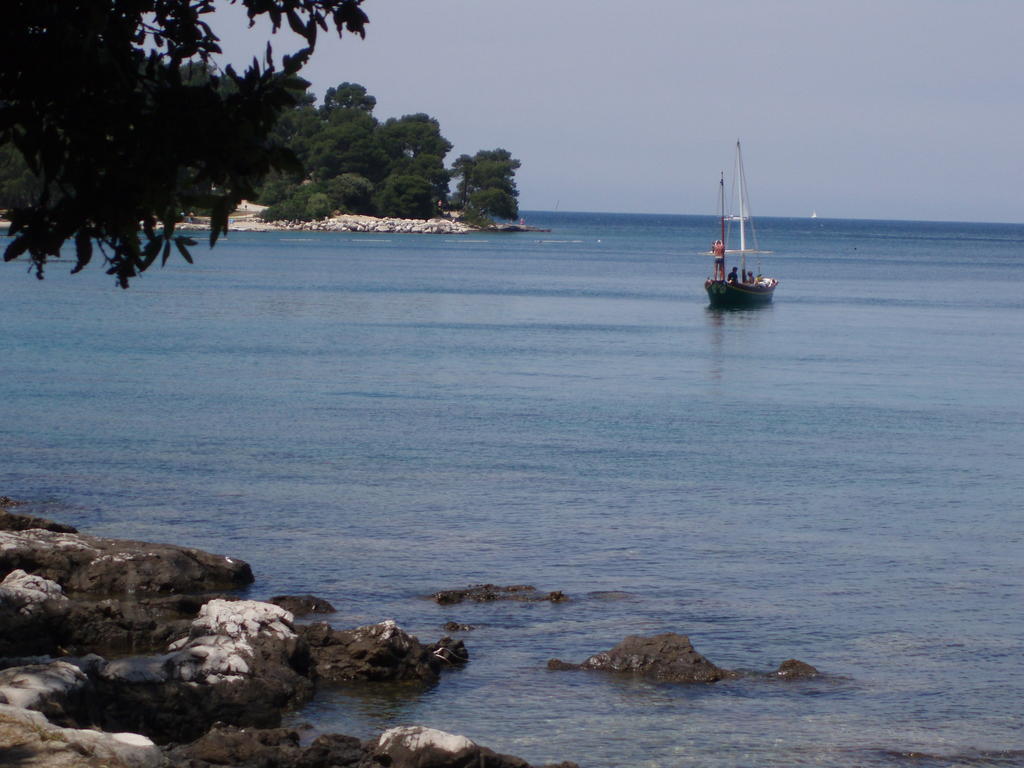 Apartament Carmelo *